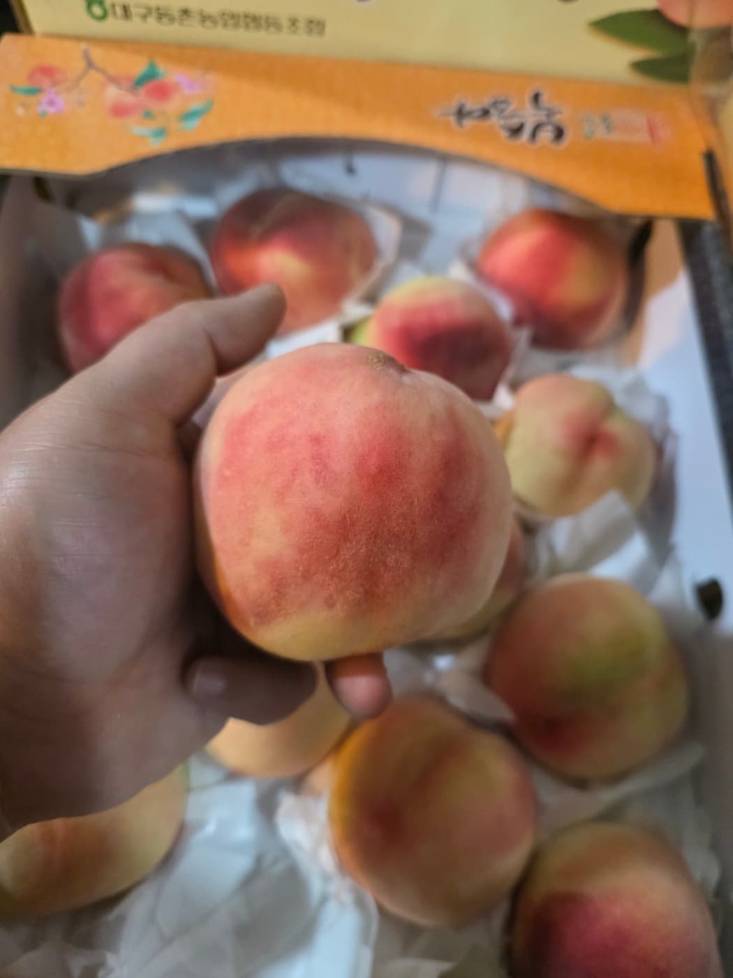 옐로우드림 복숭아 상세